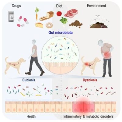 ビオフェルミン 犬：腸内環境とペットの健康についての考察