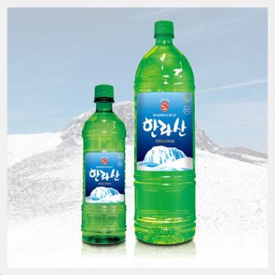 소주 페트병 용량: 소비자 선호도와 환경적 고려사항